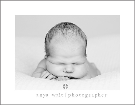 Aurelia_newborn_02bwblog