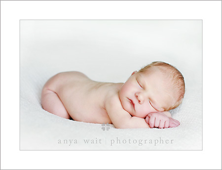 Aurelia_newborn_04cblog