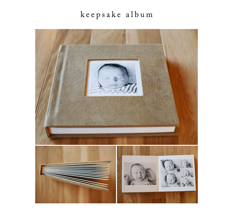 Madison Wisconsin Photographer