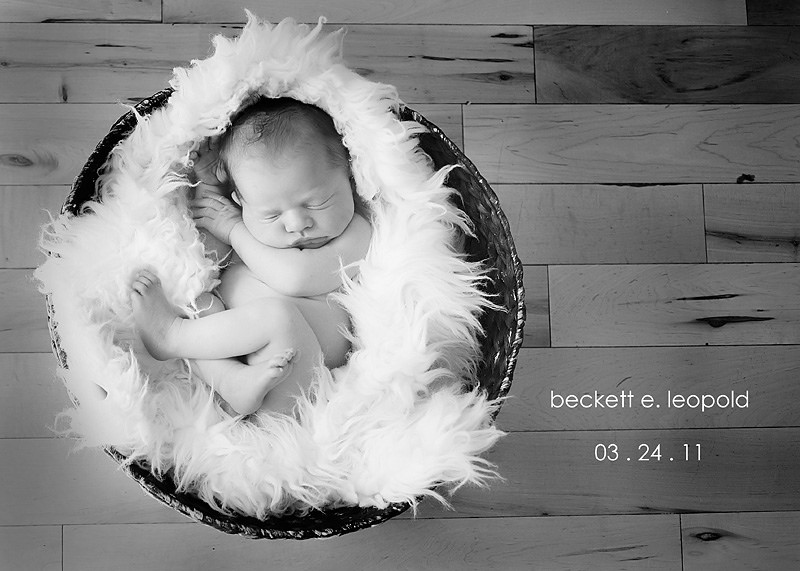 Madison Wisconsin Baby Portraits