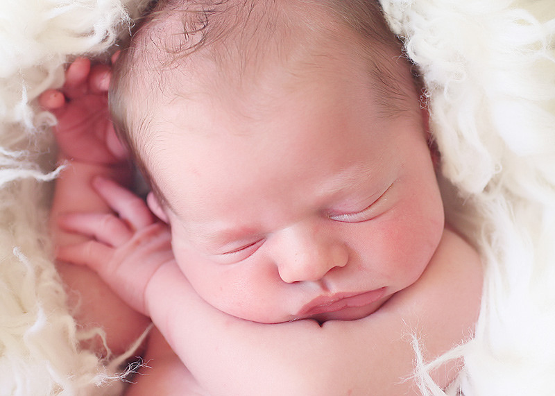 Newborn Photographer Madison Wisconsin