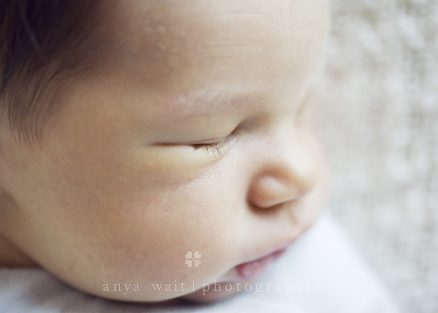 Madison Wisconsin Newborn Photography