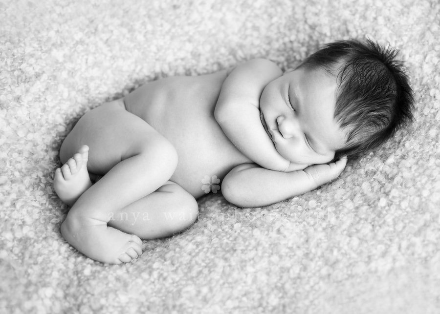 Madison Wisconsin Baby Photographs