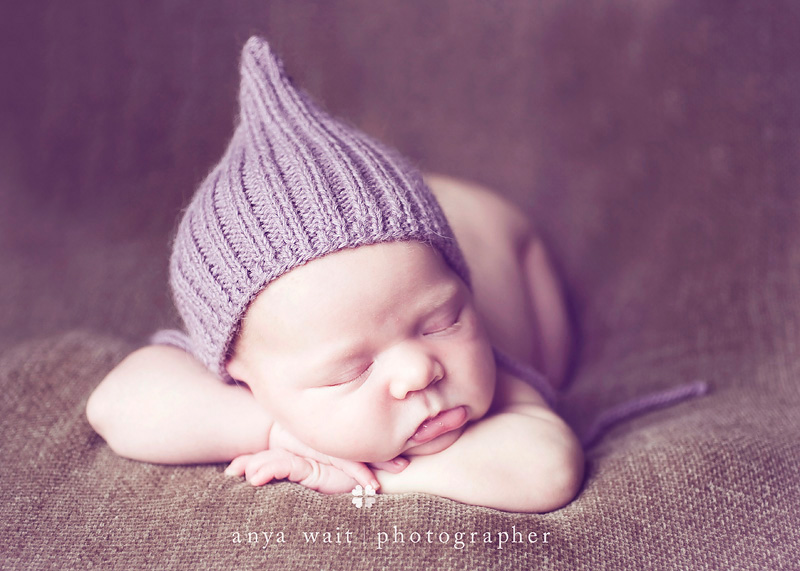 Newborn Photographs Madison Wisconsin