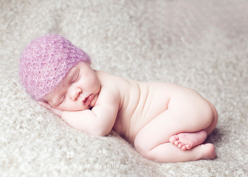 Newborn Portraits Madison Wisconsin