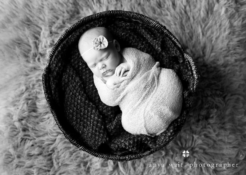 Madison Wisconsin Photographer