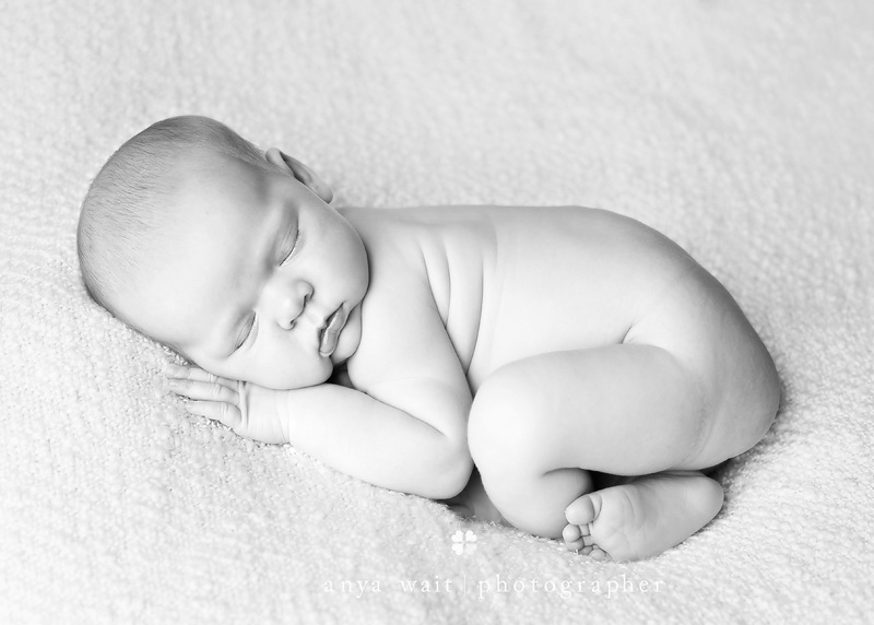 Infant Portraits Madison Wisconsin