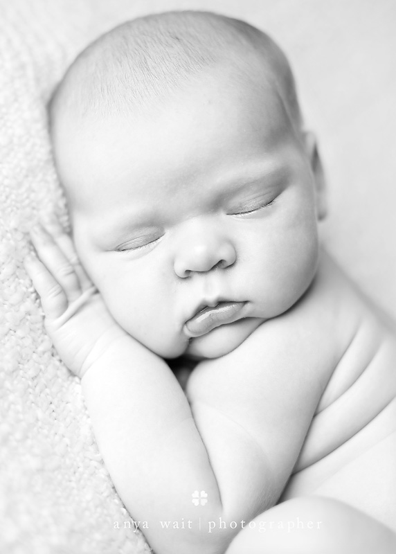 Newborn Portraits in Madison Wisconsin