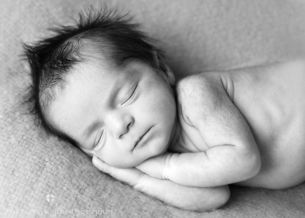 Newborn Photographer Wisconsin