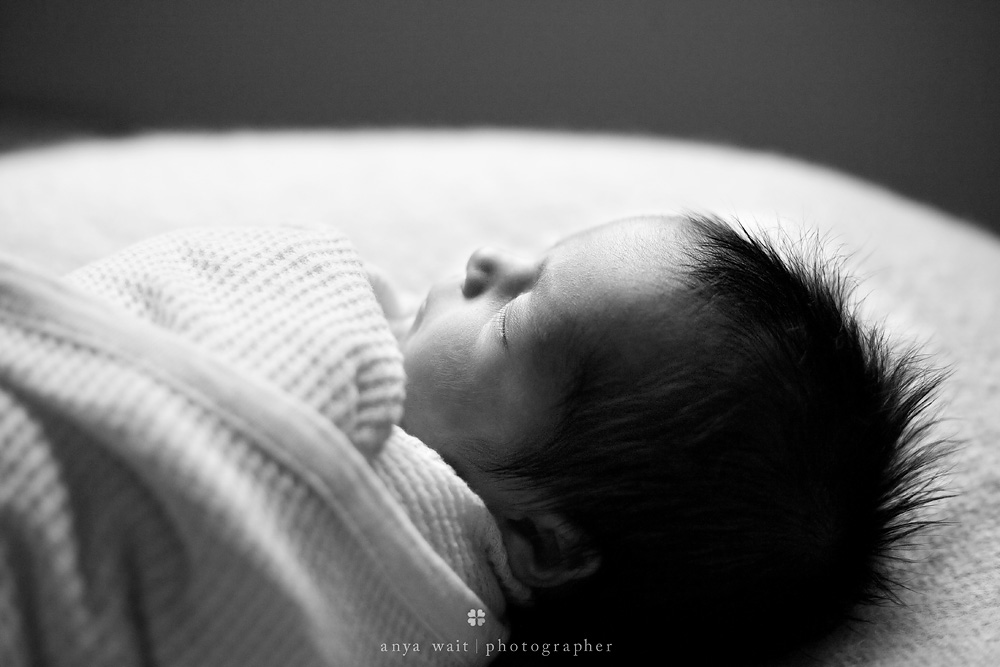 Baby Photography Madison Wisconsin