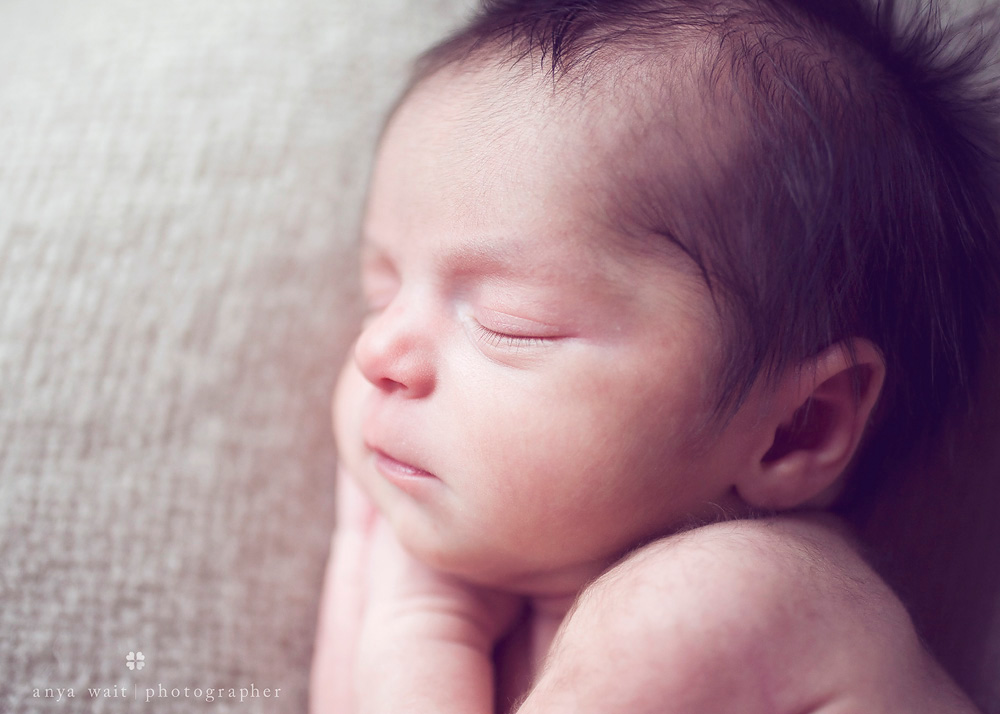 Newborn Portraits Madison Wisconsin