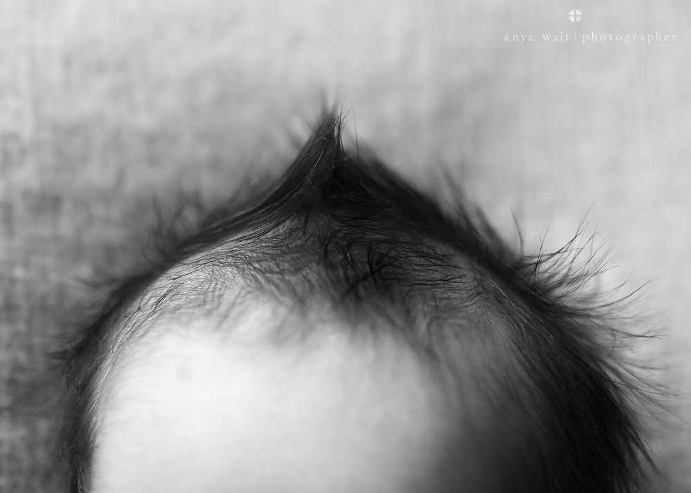 Newborn Photographer Madison Wisconsin