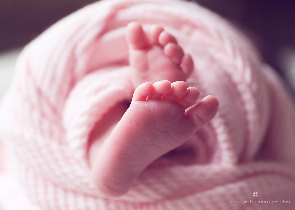 Baby Photographer Madison Wisconsin