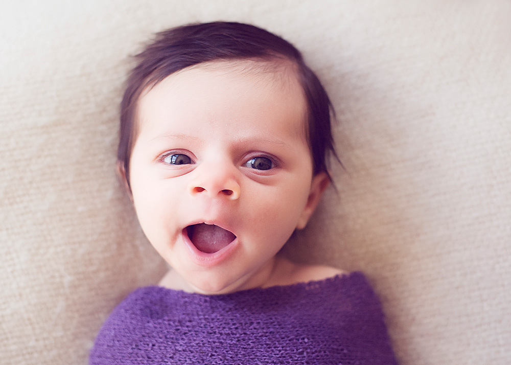 Newborn Photographs Madison Wisconsin