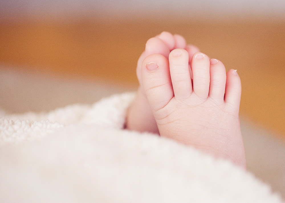 Newborn Photographer in Madison Wisconsin