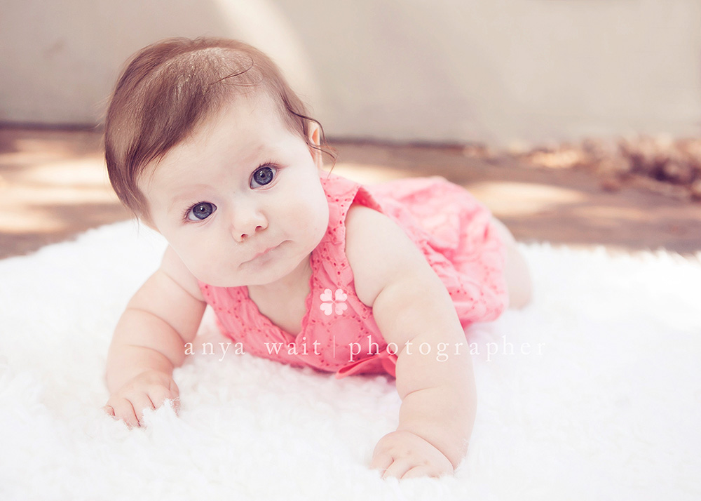 Baby Portraits Madison Wisconsin