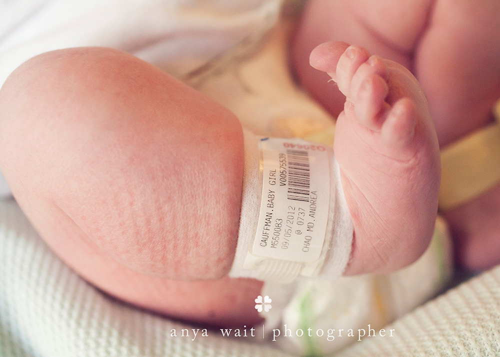 Madison Wisconsin Newborn Hospital Photographer
