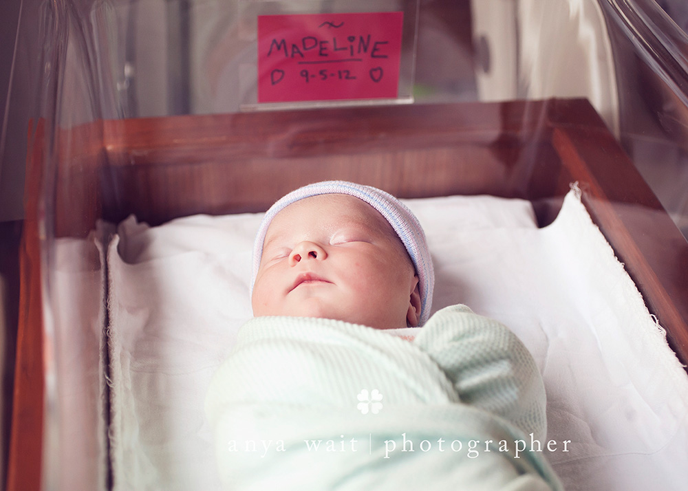 Birth Photos Madison Wisconsin