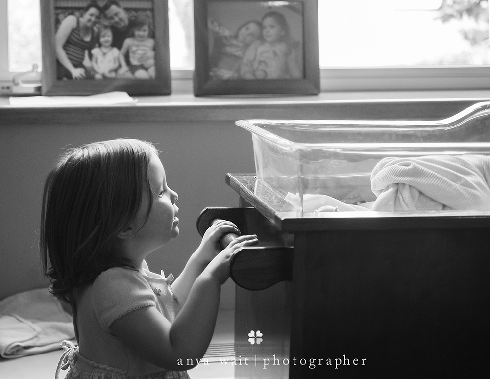 Newborn Photographer in Madison Wisconsin
