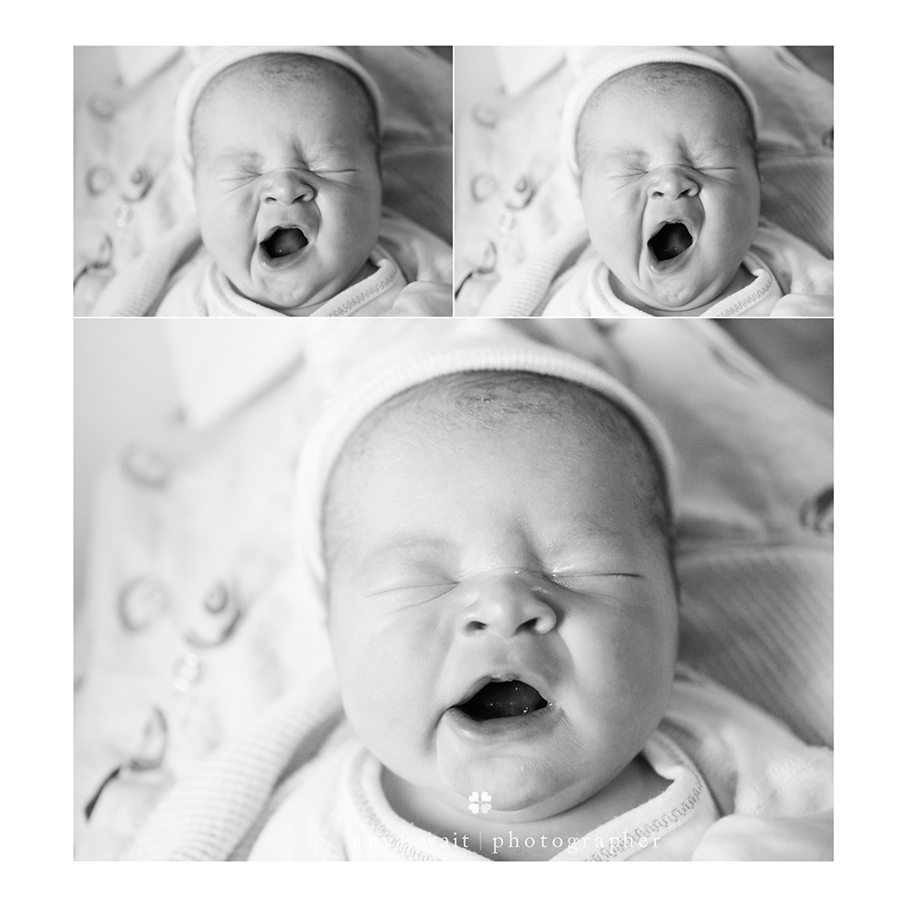 Madison Wisconsin Photographer