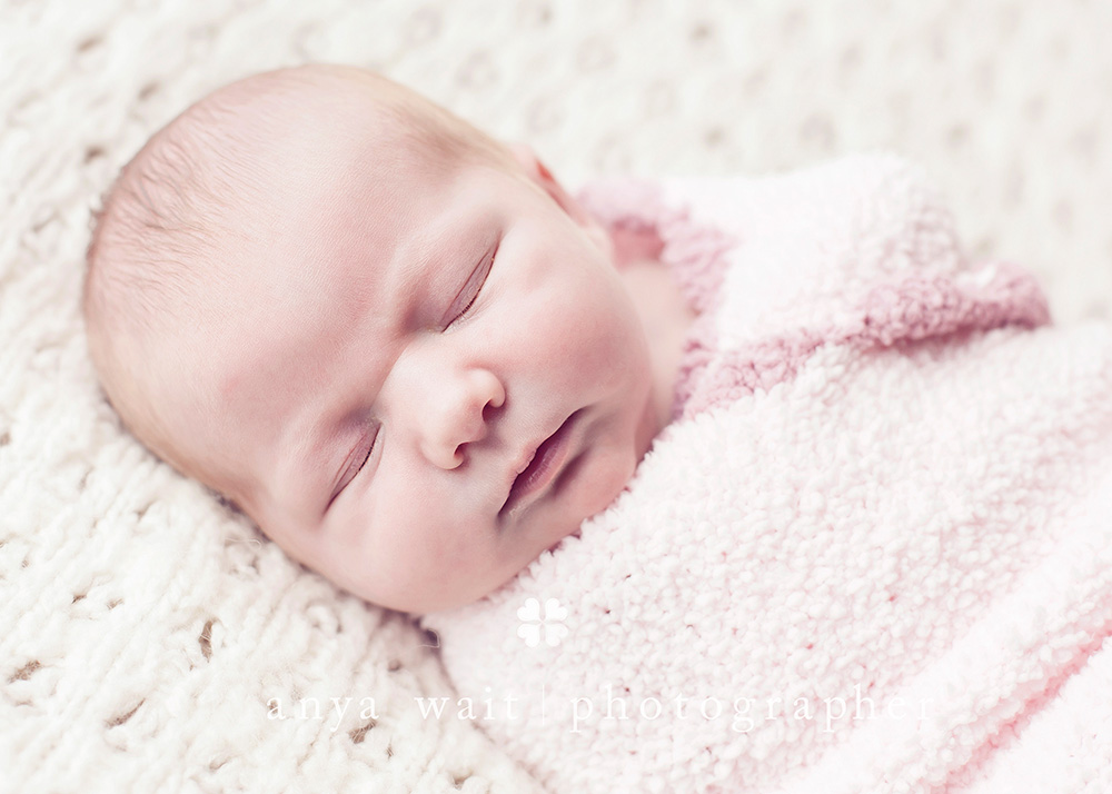 Madison Wisconsin Newborn Portrait Photographer