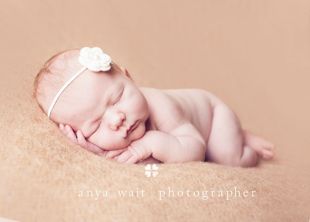 Birth Photographer Madison Wisconsin