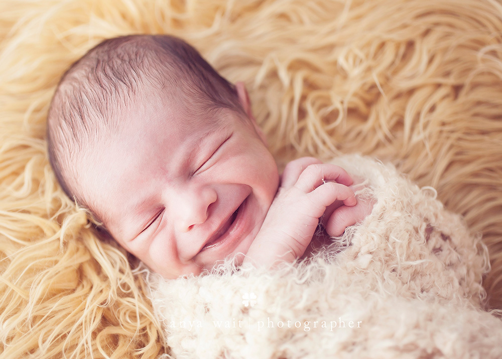Madison Wisconsin Newborn Photographer