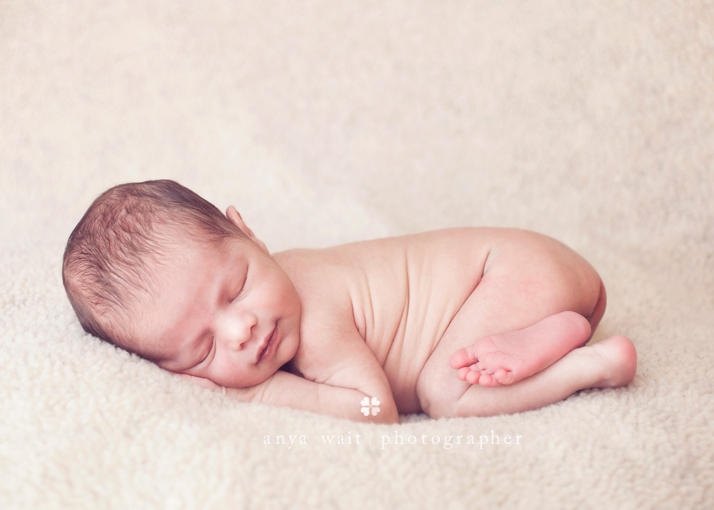 Newborn Portrait Photographer in Madison Wisconsin