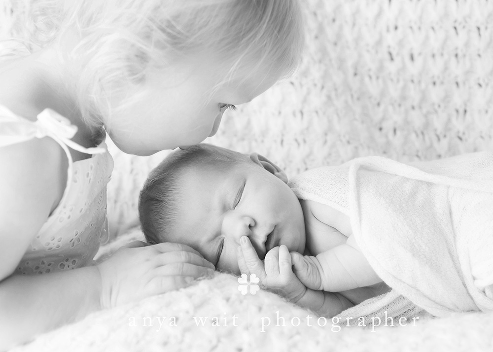 Madison Wisconsin Newborn Portrait Photographer