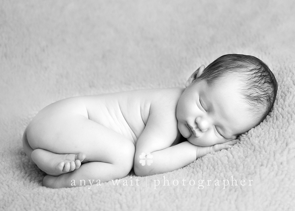 Baby portrait photography madison wisconsin