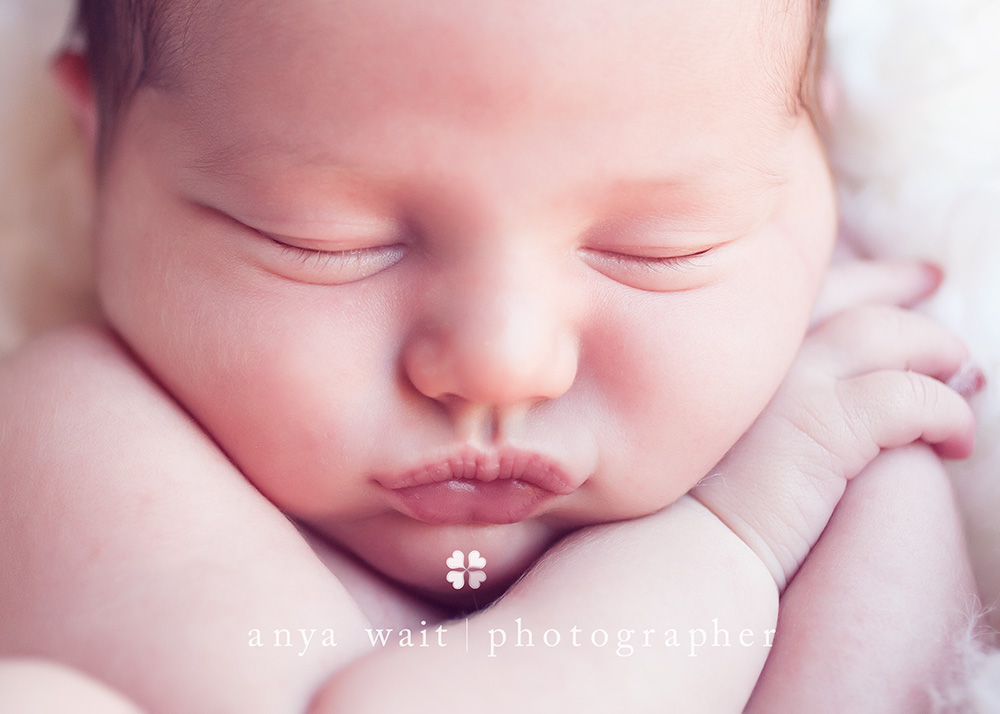 Wisconsin Newborn Portrait Photographer