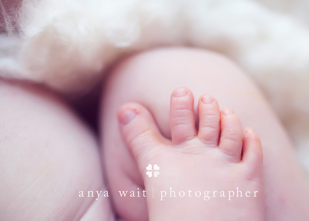 Evansville Wisconsin newborn portraits