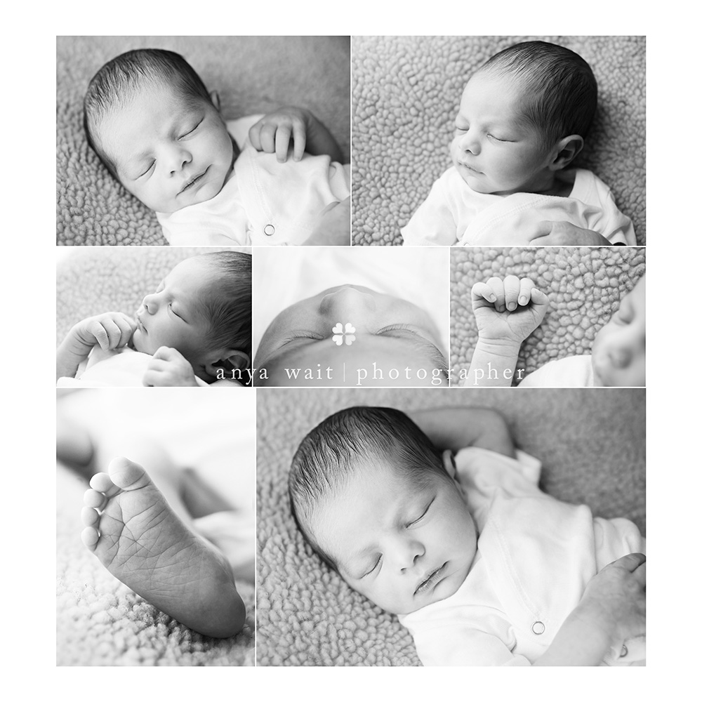 Middleton Newborn Photography