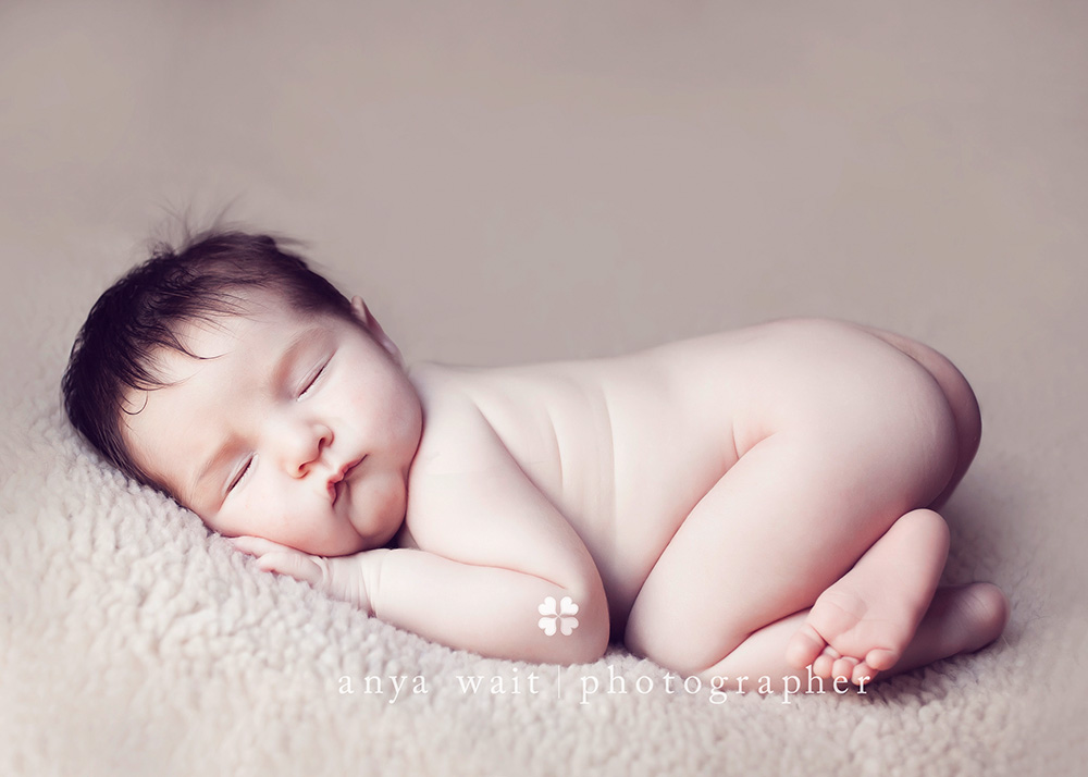 california newborn portraits