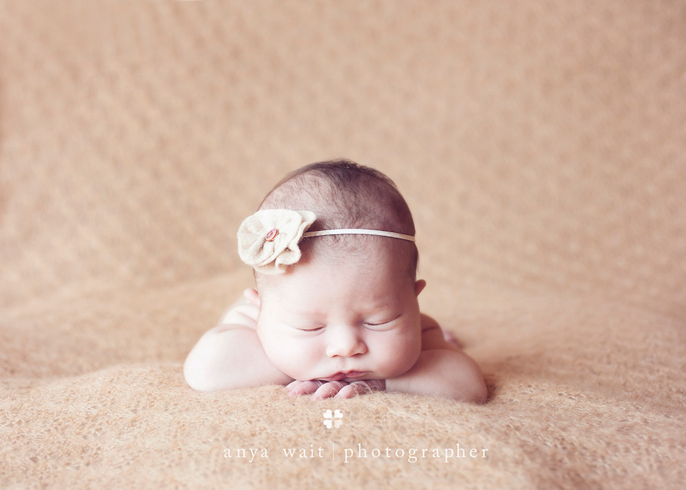 Madison Wisconsin Birth Photographer Anya Wait