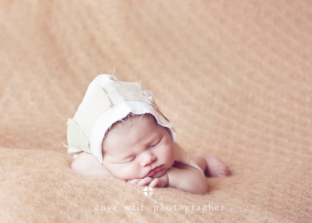 Madison Wisconsin Hospital Newborn Photographer