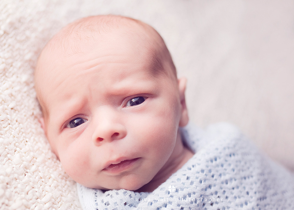 Newborn Portrait Photographer Madison Wisconsin