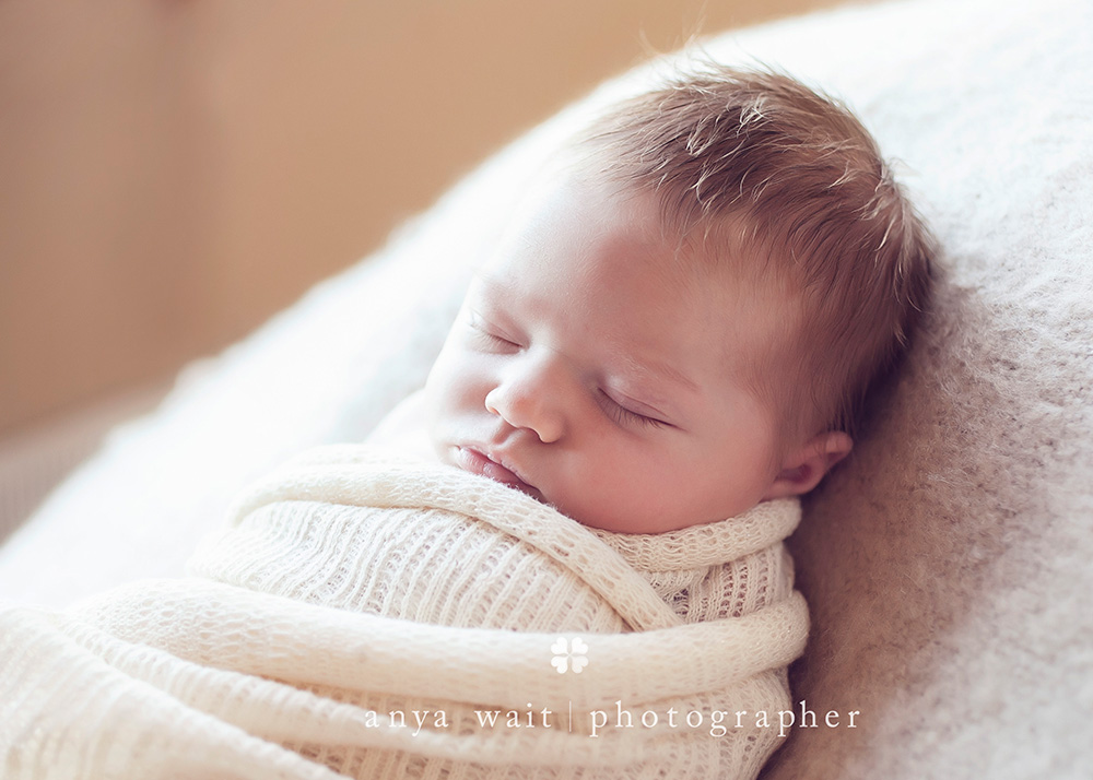 wisconsin newborn photography specials