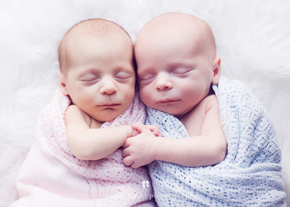 Twin portraits madison wisconsin