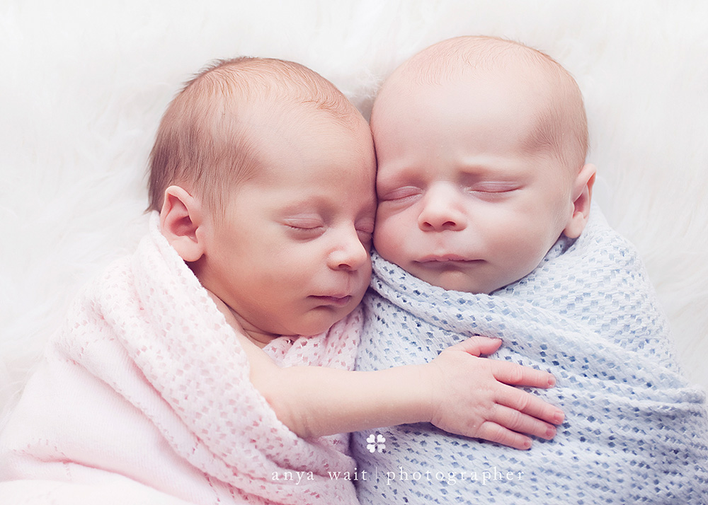 twin newborn photographer madison wisconsin