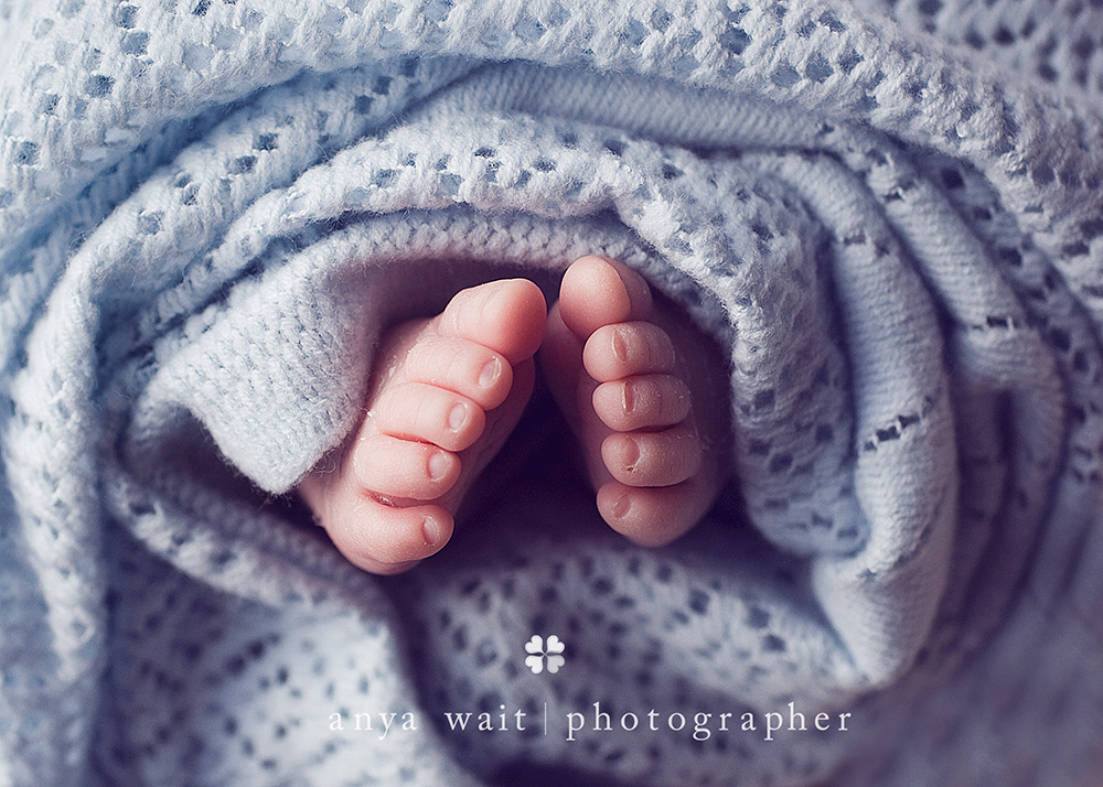 Twins Madison Wisconsin