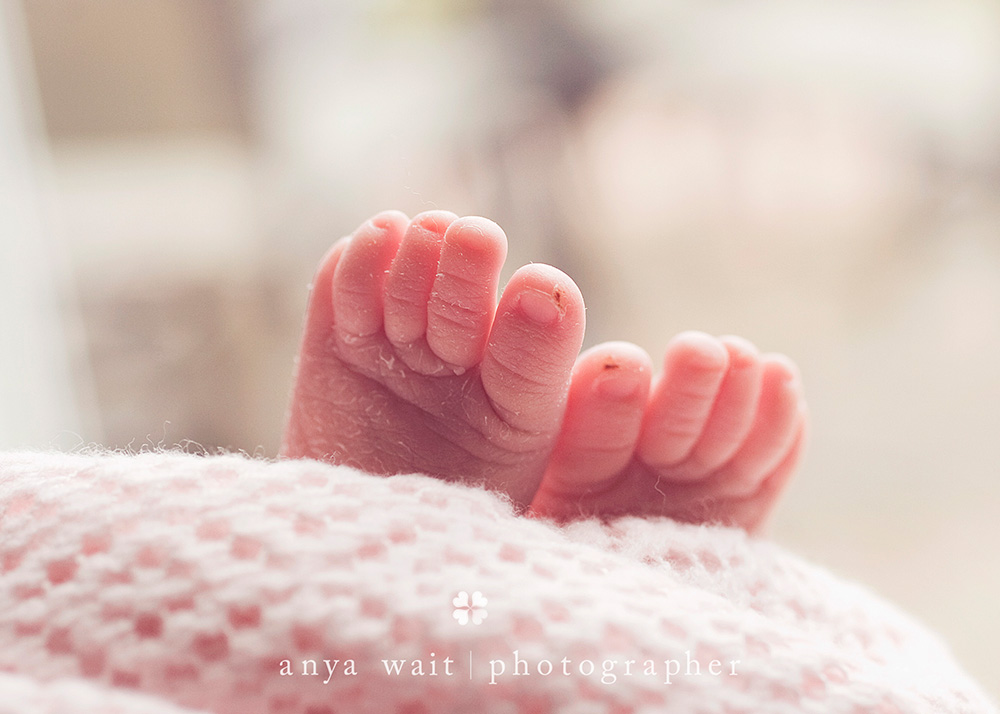 Twin Portraits Wisconsin