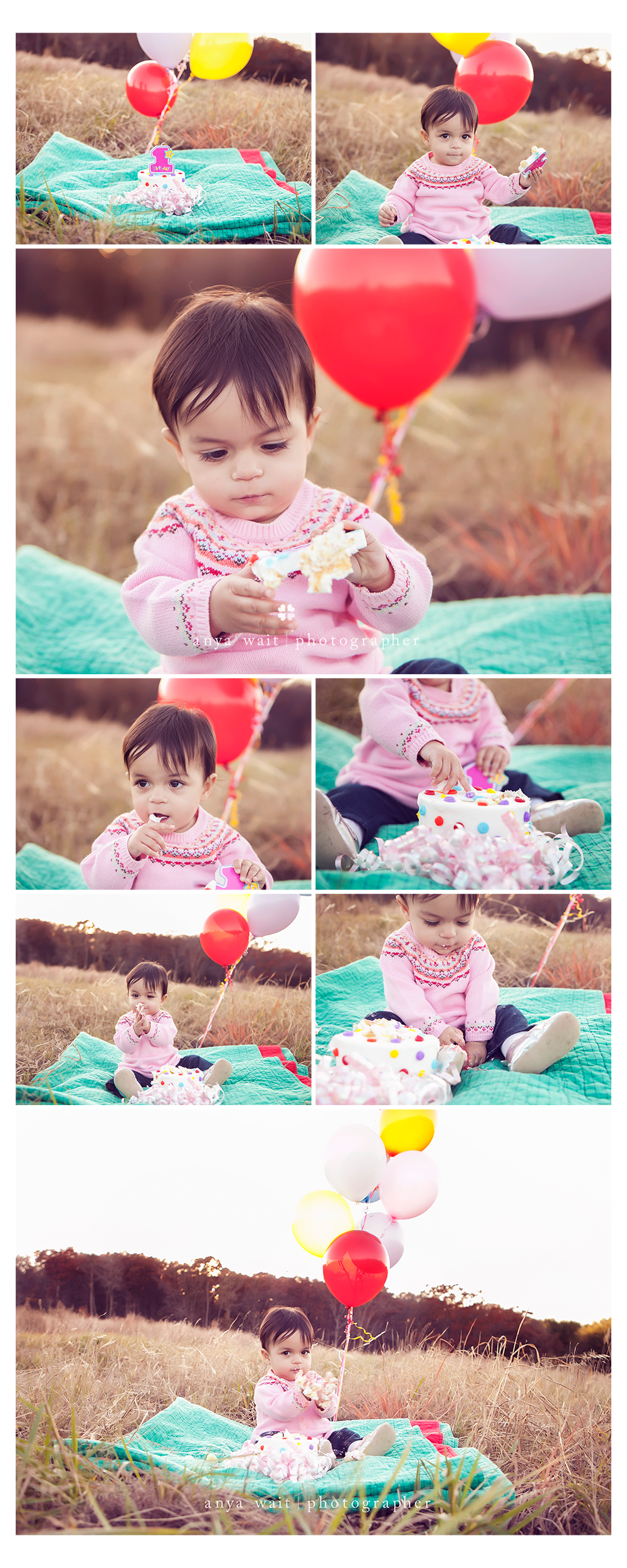 birthday portraits madison wisconsin