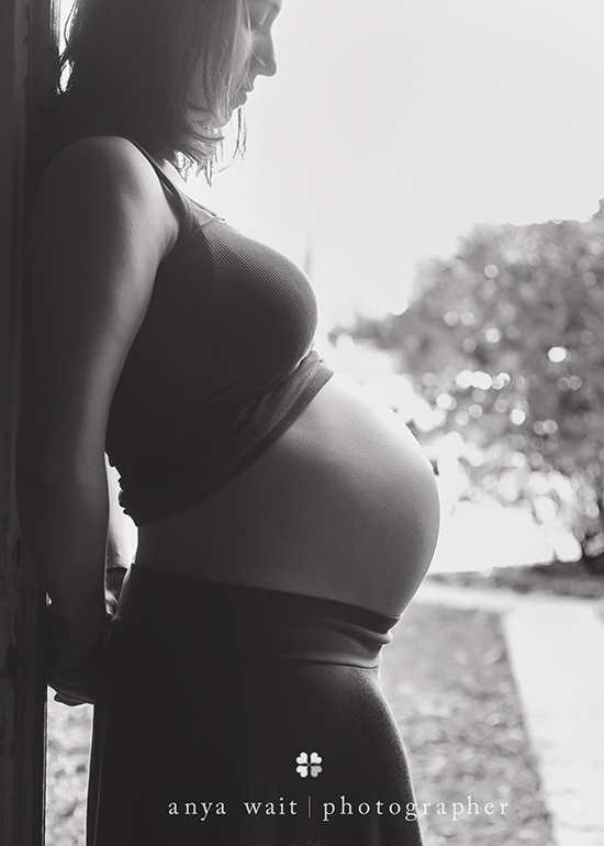 Urban Pregnancy Portraits Madison Wisconsin