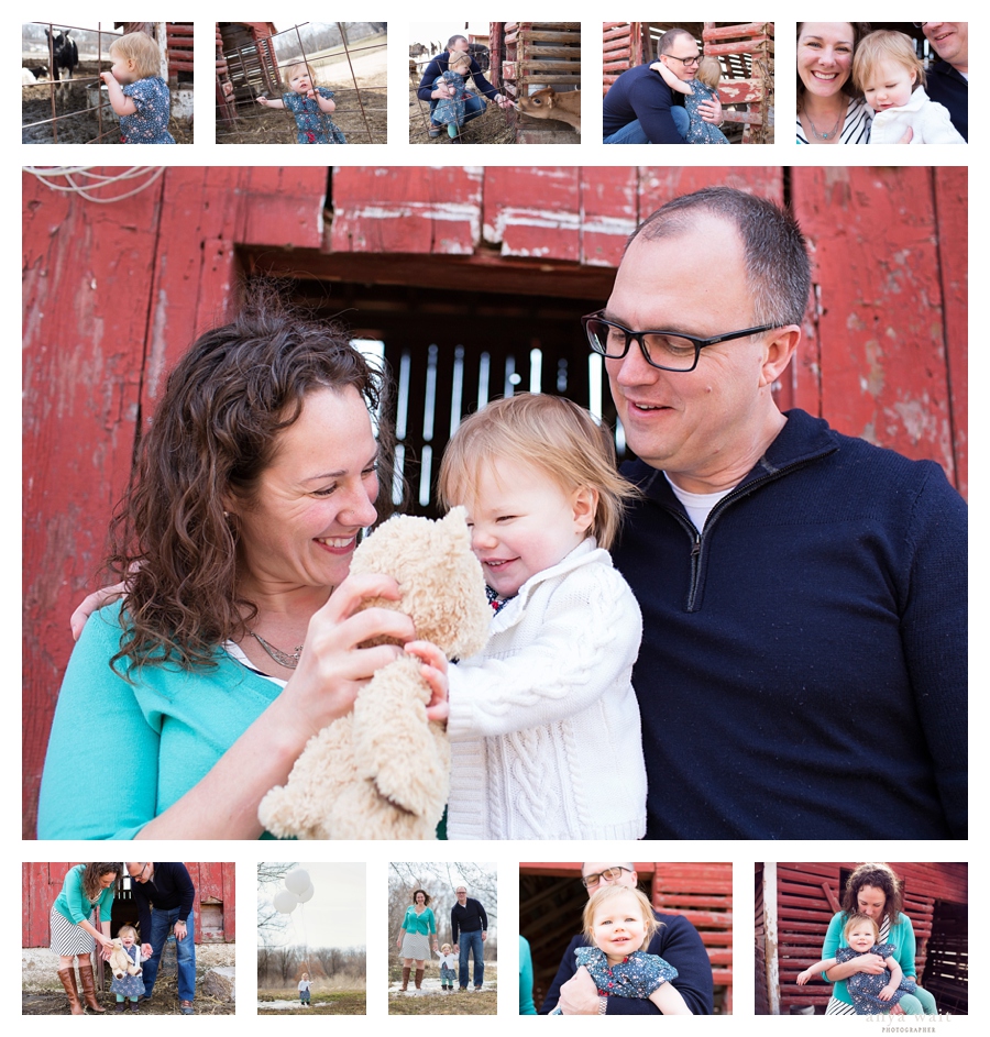 Cottage_Grove_Wisconsin_Baby_Photographer.jpg