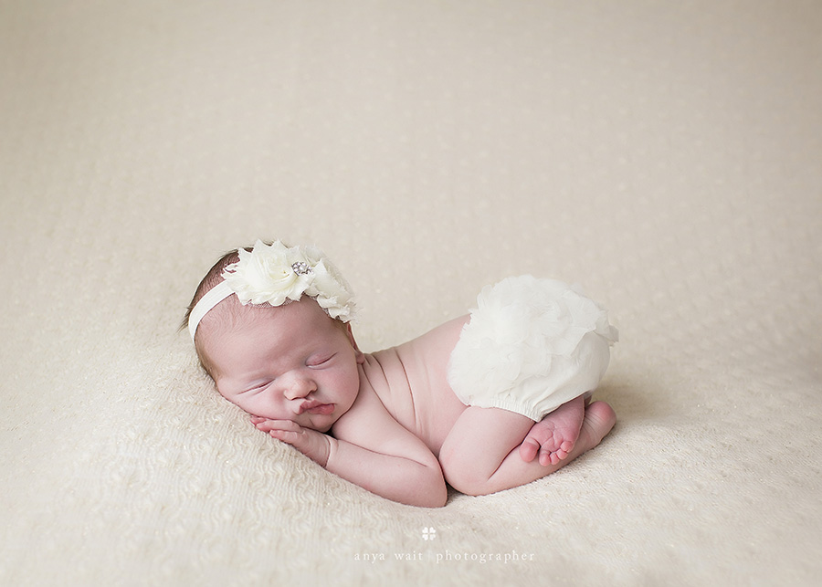 Newborn portrait in Fitchburg, Wisconsin